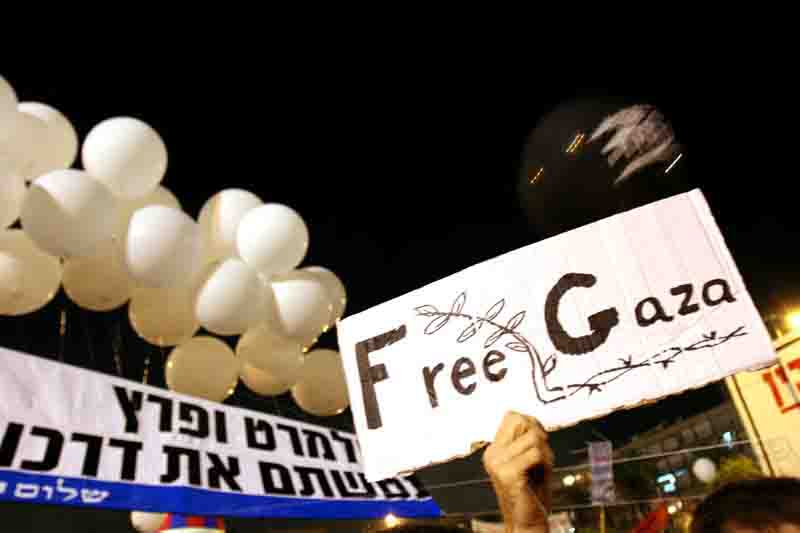 Hand raising sign with the words Free Gaza and drawing of barbed wire morphing into a vine